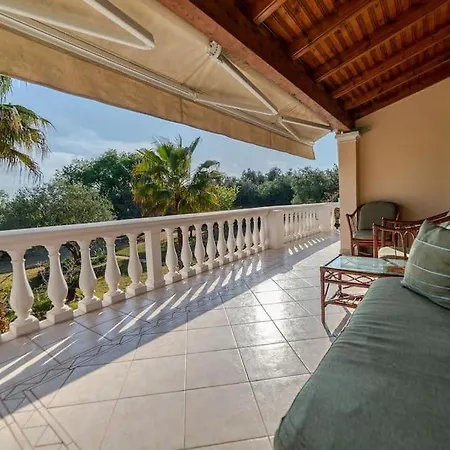 Lyra